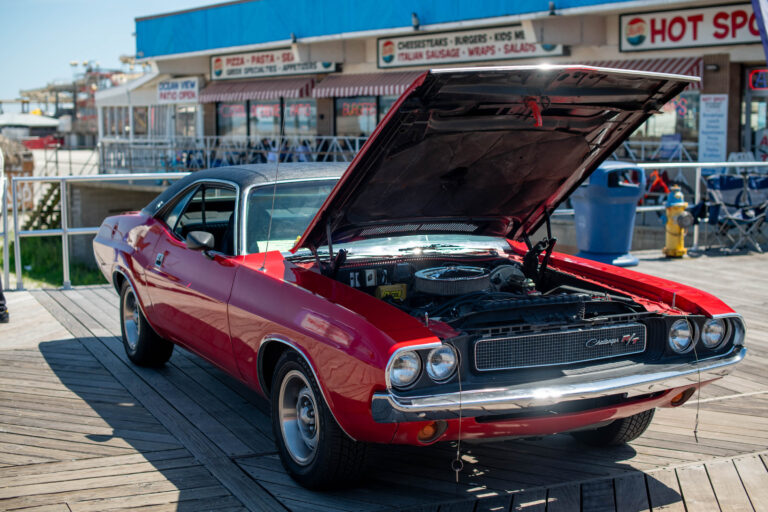 D85_3492.jpg