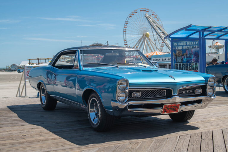 D85_3510.jpg