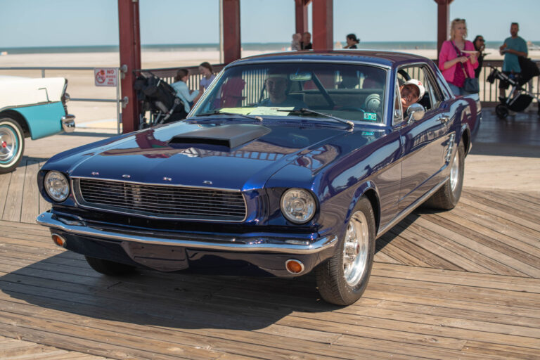 D85_3512.jpg