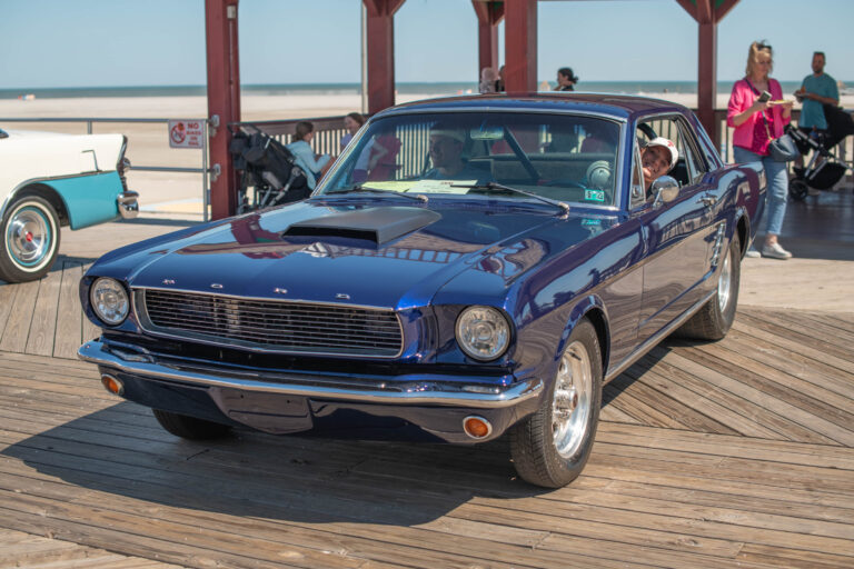 D85_3513.jpg